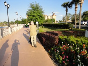 Cranes Roost Park Altamonte Springs